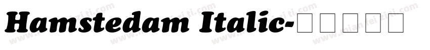 Hamstedam Italic字体转换